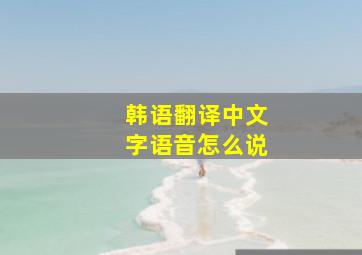 韩语翻译中文字语音怎么说