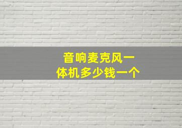 音响麦克风一体机多少钱一个