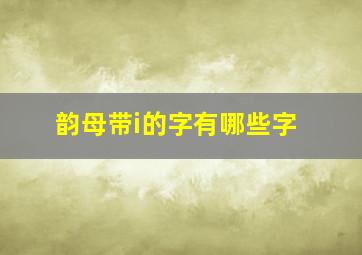 韵母带i的字有哪些字