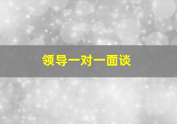 领导一对一面谈