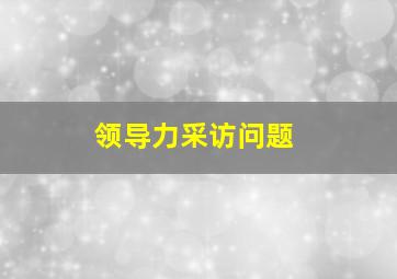 领导力采访问题