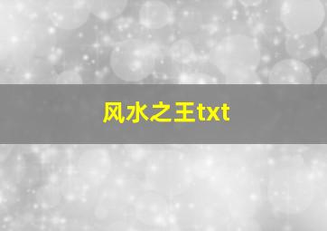 风水之王txt