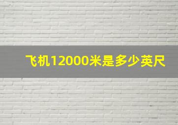 飞机12000米是多少英尺