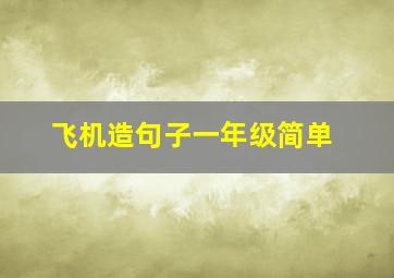 飞机造句子一年级简单