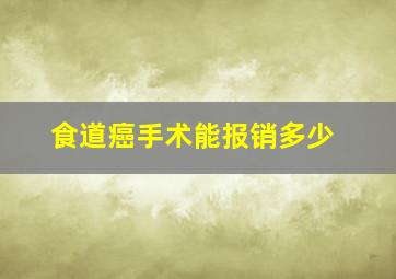 食道癌手术能报销多少