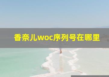 香奈儿woc序列号在哪里