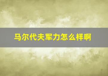 马尔代夫军力怎么样啊