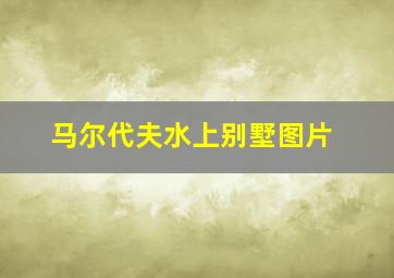 马尔代夫水上别墅图片