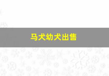 马犬幼犬出售