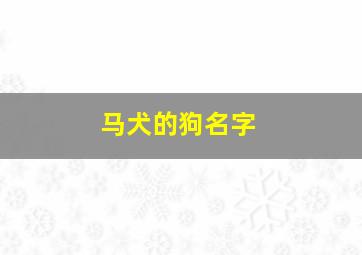 马犬的狗名字