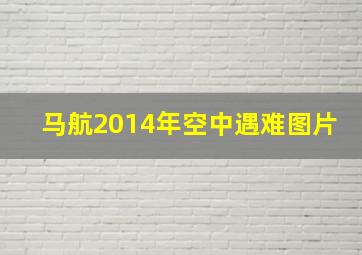 马航2014年空中遇难图片