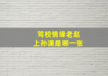 驾校情缘老赵上孙潇是哪一张