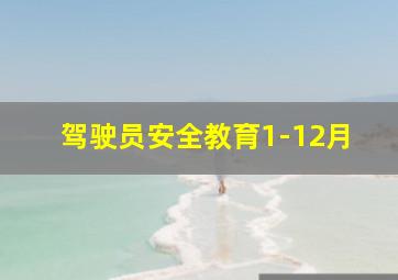 驾驶员安全教育1-12月