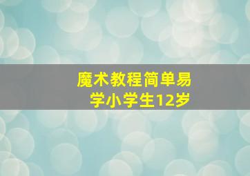 魔术教程简单易学小学生12岁