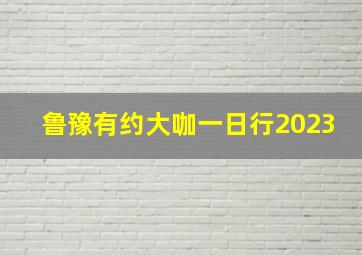 鲁豫有约大咖一日行2023