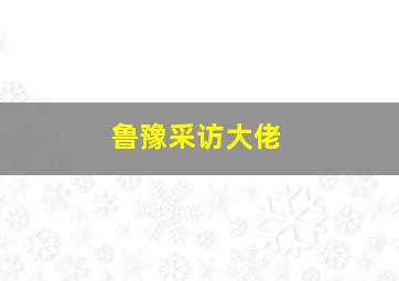 鲁豫采访大佬