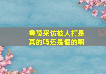 鲁豫采访被人打是真的吗还是假的啊