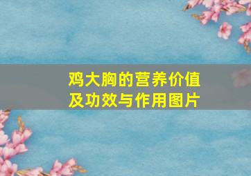 鸡大胸的营养价值及功效与作用图片