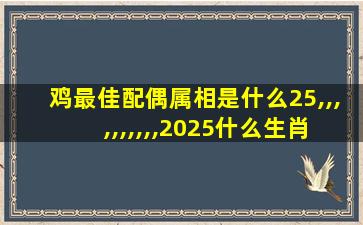 鸡最佳配偶属相是什么25,,,,,,,,,,2025什么生肖