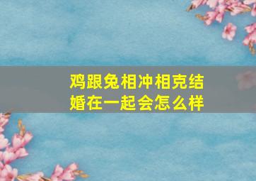 鸡跟兔相冲相克结婚在一起会怎么样