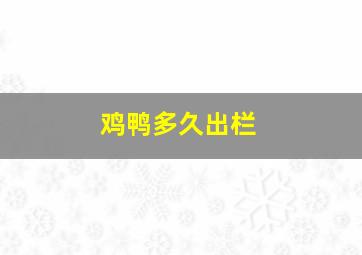 鸡鸭多久出栏