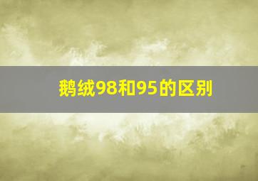 鹅绒98和95的区别