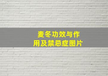 麦冬功效与作用及禁忌症图片