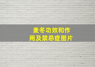 麦冬功效和作用及禁忌症图片