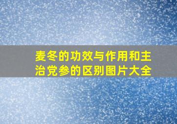 麦冬的功效与作用和主治党参的区别图片大全