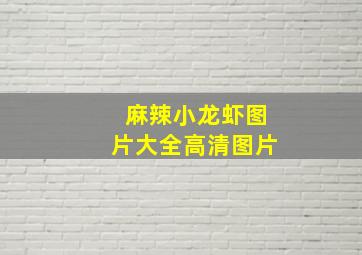 麻辣小龙虾图片大全高清图片