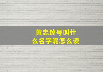 黄忠绰号叫什么名字呢怎么读