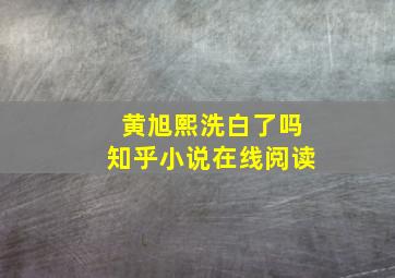 黄旭熙洗白了吗知乎小说在线阅读