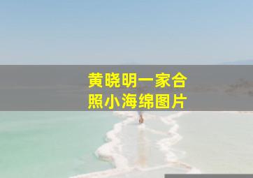 黄晓明一家合照小海绵图片