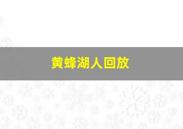 黄蜂湖人回放