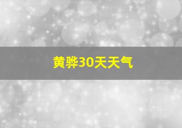 黄骅30天天气