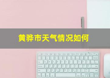 黄骅市天气情况如何