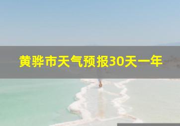 黄骅市天气预报30天一年