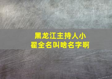 黑龙江主持人小翟全名叫啥名字啊