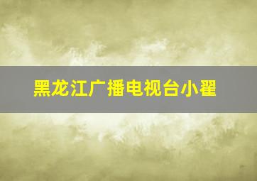 黑龙江广播电视台小翟