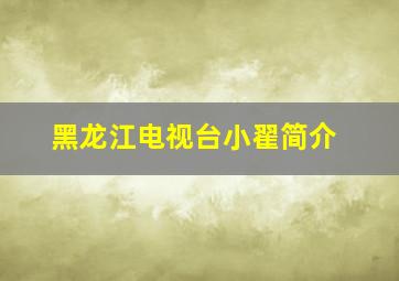 黑龙江电视台小翟简介