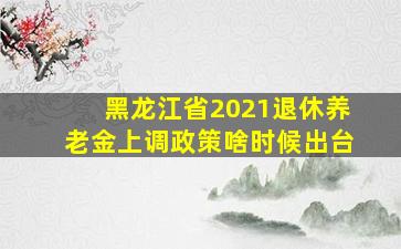 黑龙江省2021退休养老金上调政策啥时候出台