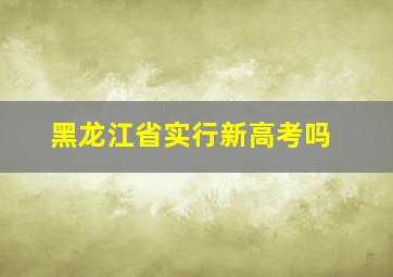 黑龙江省实行新高考吗