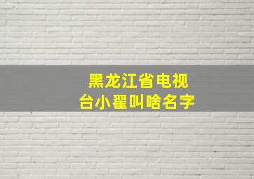 黑龙江省电视台小翟叫啥名字