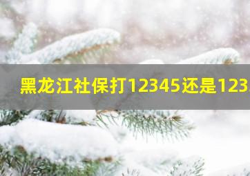 黑龙江社保打12345还是12333