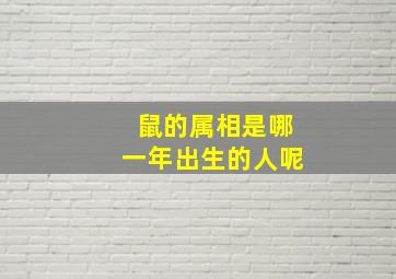 鼠的属相是哪一年出生的人呢