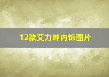 12款艾力绅内饰图片