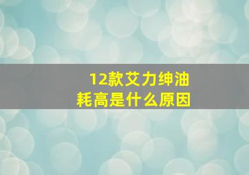 12款艾力绅油耗高是什么原因