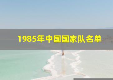 1985年中国国家队名单