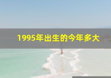 1995年出生的今年多大