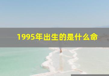 1995年出生的是什么命